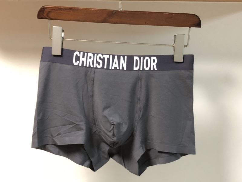 Dior Panties